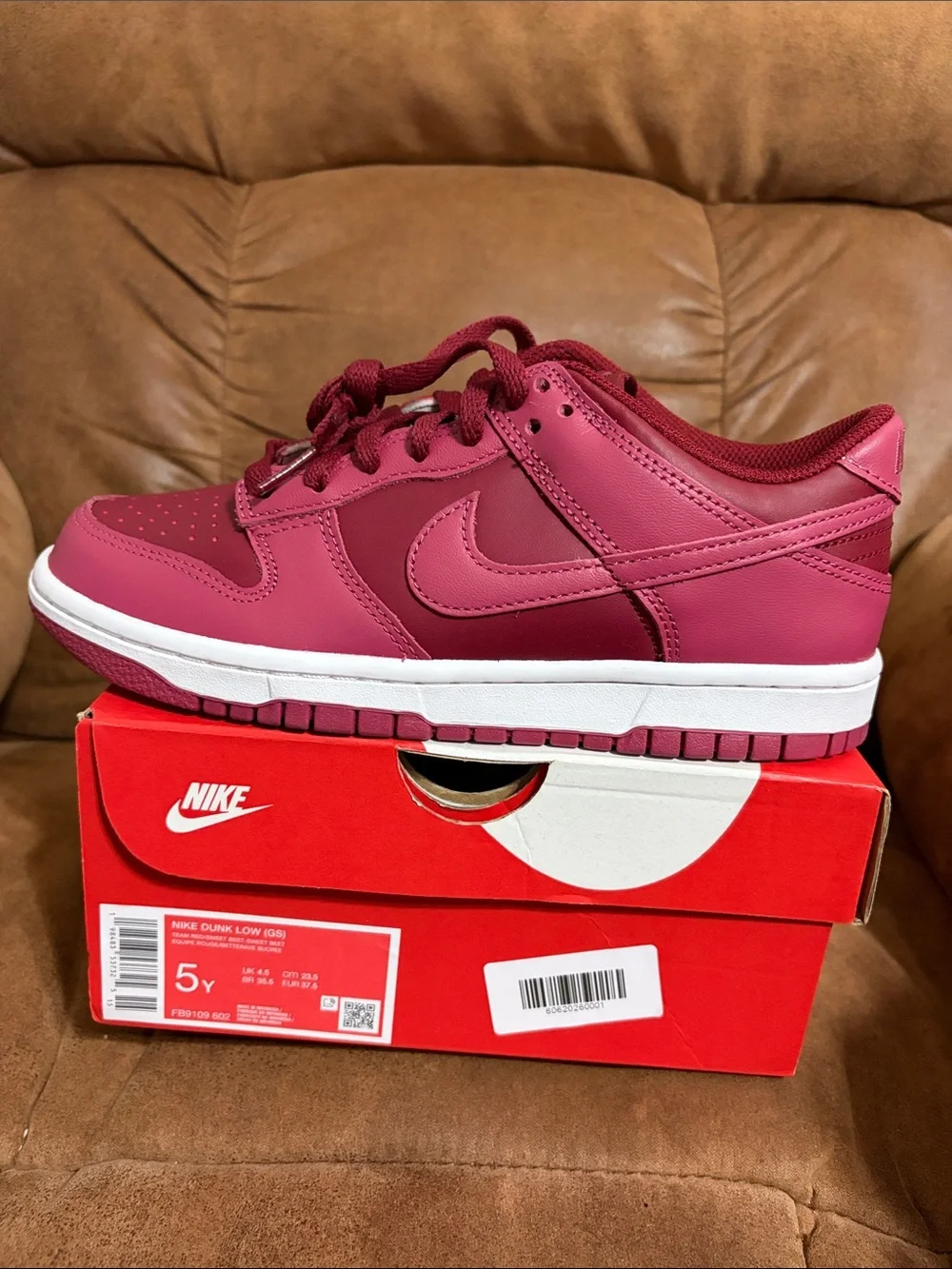 Nike Kids Dunk Low Burgundy Pink Casual Sneakers